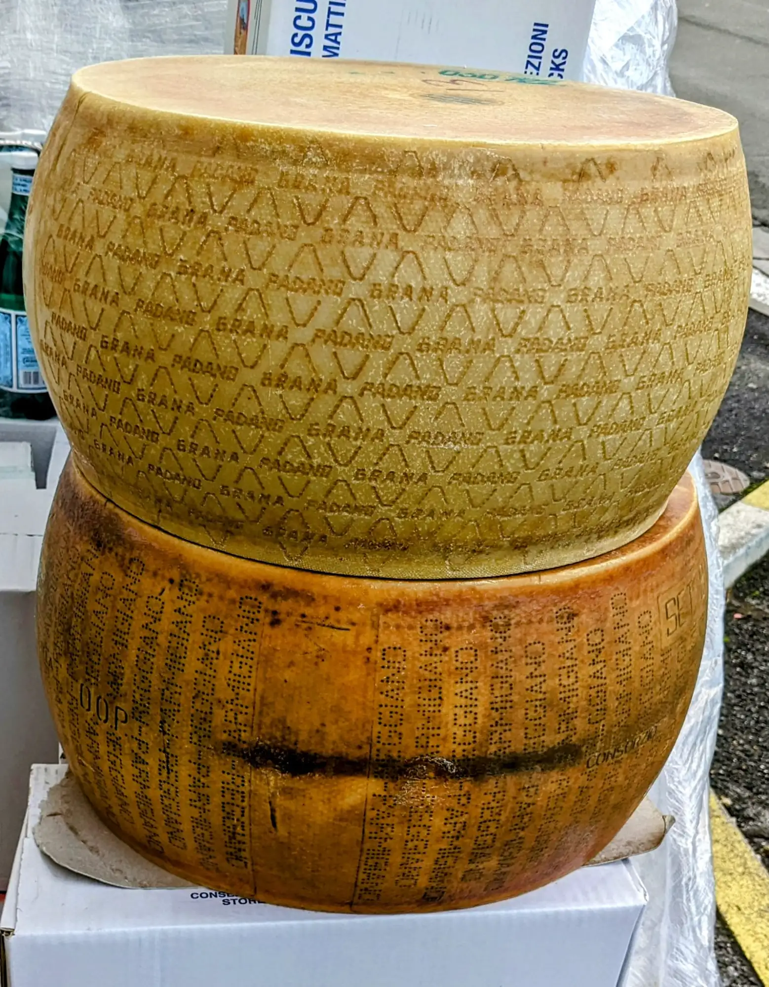 parmigiano reggiano - Aimi Pablino - épice fine italienne balan